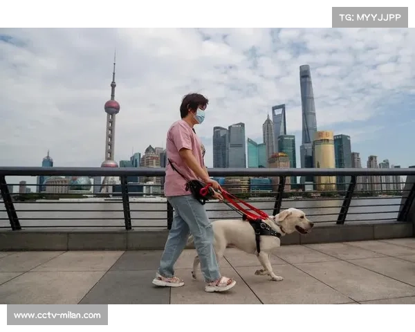 视障球迷组织感恩导盲犬首次进赛场 视障球迷组织感恩导盲犬首次进赛场