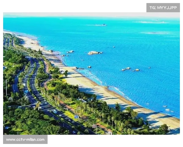 环澳布莱顿海滩起点氛围浓郁，车手沿海岸线骑行成景观走廊