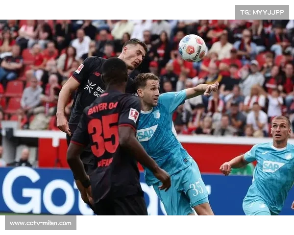 霍芬海姆高压逼抢体系:总跑动距离1604公里位居德甲第三 霍芬海姆高压逼抢体系:总跑动距离1604公里位居德甲第三